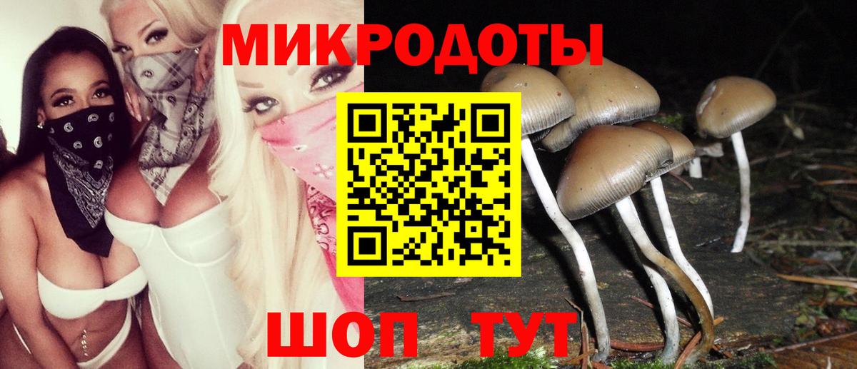 Галлюциногенные грибы мухоморы Прокопьевск